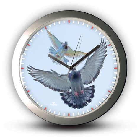 Pigeon Hobby Clock .